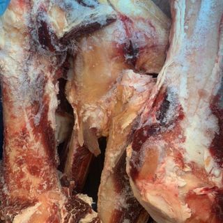 Xương Ống Bò GBP Úc - Thùng 16 - 20kg - Xương Ống Bò Nhập Khẩu - Thịt Bò Nhập Khẩu
