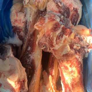 Xương Ống Bò GBP Úc - Thùng 16 - 20kg - Xương Ống Bò Nhập Khẩu - Thịt Bò Nhập Khẩu