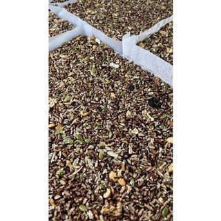 Thanh Gạo Lứt Chà Bông Hộp 250 G