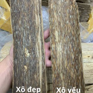 Trầm hương Sánh - Xô yếu -