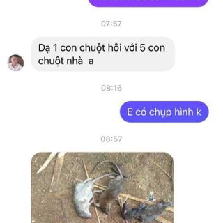 Bẫy chuột nhựa đen thông minh