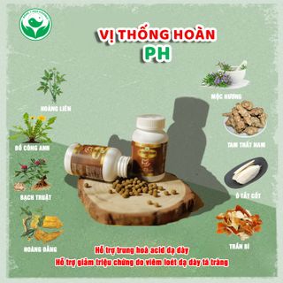 Phong thấp thống Hòa Phương, giúp giảm các triệu chứng đau nhức xương khớp, mỏi vai gáy