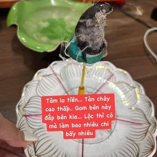 Combo 10 nhang xông phong thủy bình an