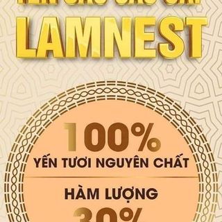 YẾN CHƯNG LAMNEST NHÂN SÂM