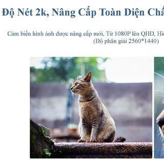 Camera IP IMOU Bullet 2E ngoài trời IPC-F42FP-D 4MP 4K (Có Mic, Led, Full Color)