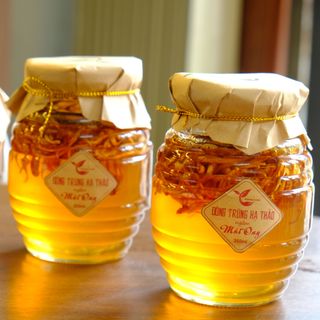 Đông Trùng Hạ Thảo Ngâm Mật Ong (Hũ 350ml)