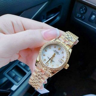 ĐỒNG HỒ ROLLEX VIỀN HỘT HOT CAO CẤP