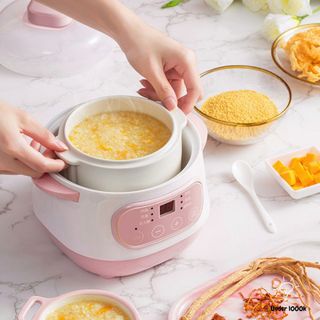 Nồi Nấu Cháo Chậm - Nồi Chưng Yến, Hầm Cách Thủy, Hầm Canh V125V Dung Tích 1L, Lòng Nồi Bằng Sứ Giữ Nhiệt Tốt Hơn