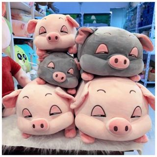 [FREESHIP] CHUỘT/ HEO BÔNG MẮT HÍP 38cm - 90cm