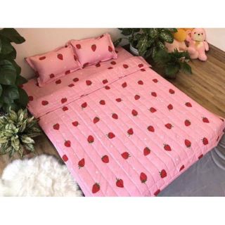 [GIÁ SỐC] 1 Cặp (2 cái ) vỏ gối nằm Poly coton trần gòn dầy dặn
