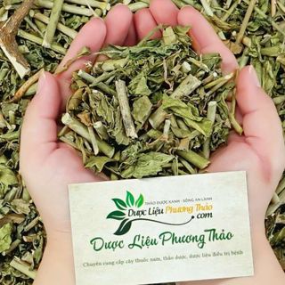 [Kèm toa] Cây Xương Khỉ (Cây Bìm Bịp) H.ỗ Trợ Ung Thư, Men Gan Cao, Đau Nhức Xương Khớp - Dược liệu Phương Thảo