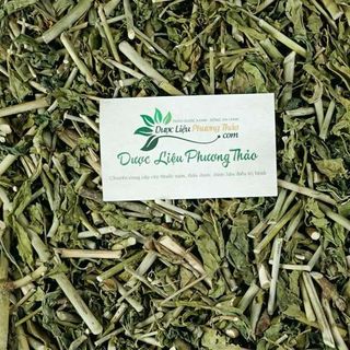 [Kèm toa] Cây Xương Khỉ (Cây Bìm Bịp) H.ỗ Trợ Ung Thư, Men Gan Cao, Đau Nhức Xương Khớp - Dược liệu Phương Thảo