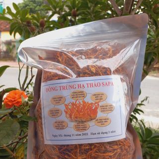 ĐÔNG TRÙNG HẠ THẢO KHÔ (hàng bình dân)
