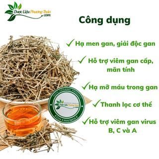 [Kèm toa] Cà gai leo khô, sạch, thơm Hỗ Trợ Người Bệnh Gan - Dược liệu Phương Thảo giá sỉ