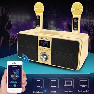 Loa Karaoke Bluetooth SDRD SD-309 Giá Sỉ