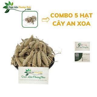Hạt giống cây An Xoa – Dược liệu “Thần Kỳ” hỗ trợ tình trạng Ung Thư Gan và các vấn đề về gan- Dược liệu Phương Thảo
