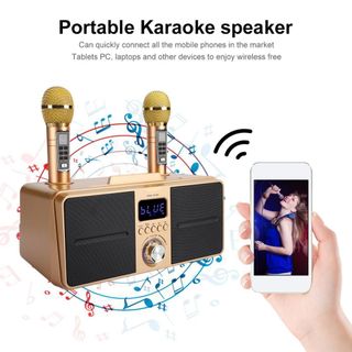 Loa Karaoke Bluetooth SDRD SD-309 Giá Sỉ