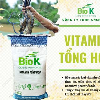 Vitamin tổng hợp (Hỗn hợp vitamin chống sốc cho tôm, cá) giá sỉ