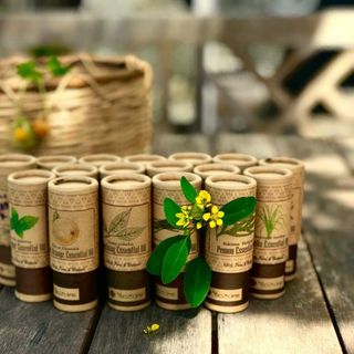 ECOLIFE-CUNG CẤP TINH DẦU GIÁ SỈ, TINH DẦU SPA, TINH DẦU NHÀ HÀNG KHÁCH SẠN. giá sỉ