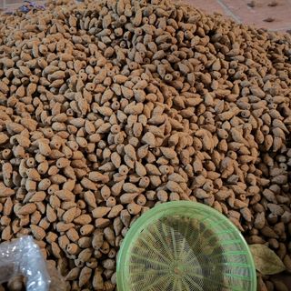 Xưởng sỉ nụ trầm hương giá gốc