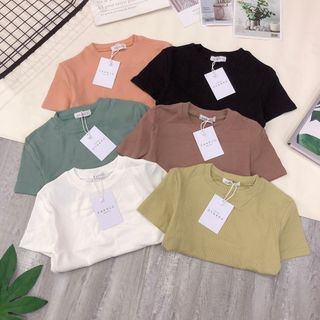 Áo thun gân ôm cổ tròn from ngắn - from dài hàng Qc xịn bảng màu đẹp