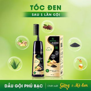 Dầu gội phủ bạc