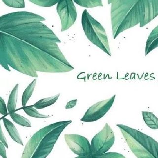 Thảm đá trang trí.