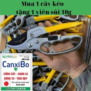 Kéo cắt cành, tỉa  cây cảnh, cộng lực thép SK5, trợ lực cắt, nhập khẩu Đức