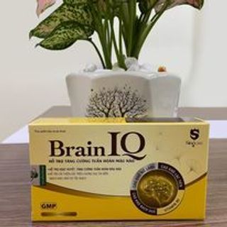Thực phẩm chức năng Brain IQ tăng cường tuần hoàn não, dưỡng tâm an thần giúp ngủ ngon cải thiện trí nhớ giá sỉ