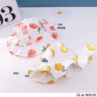 Mũ bèo chery S2-4y M29.53