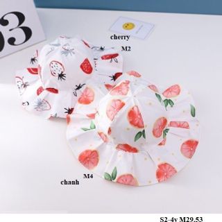 Mũ bèo chery S2-4y M29.53