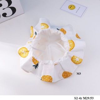 Mũ bèo chery S2-4y M29.53