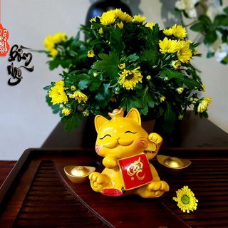 Sỉ số lượng lớn Mèo phát tài Năm Quý Mão