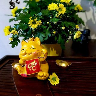 Sỉ số lượng lớn Mèo phát tài Năm Quý Mão