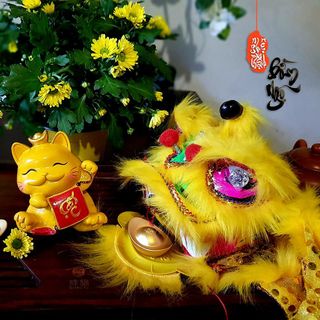 Sỉ số lượng lớn Mèo phát tài Năm Quý Mão