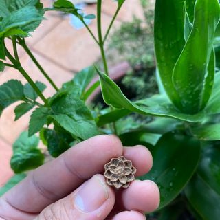 Charm hoa sen Trầm Hương tốc