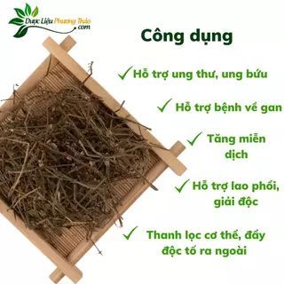 [Kèm toa] Bán Chi Liên, lành tính - Hỗ Trợ Vấn Đề Về Gan, Ung Thư - Dược liệu Phương Thảo