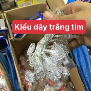 Đèn nháy các loại 5m