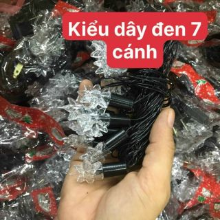 Đèn nháy các loại 5m