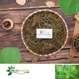 [Kèm toa] Diệp Hạ Châu khô - Bảo Vệ Gan, Giảm Viêm - Dược liệu Phương Thảo