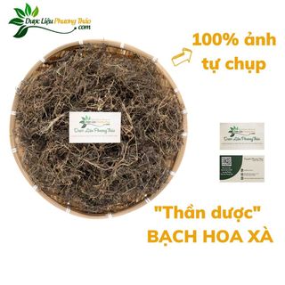 [Kèm toa] Bạch Hoa Xà khô, sạch, rừng tự nhiên - Hỗ Trợ Tốt Xương Khớp - Dược liệu Phương Thảo