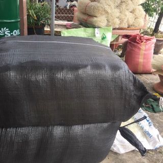 Miến dong Hải Hậu Nam Định
