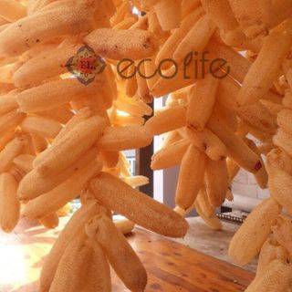 Xơ mướp nguyên trái 15-19cm Ecolife - rửa chén, tắm tẩy tế bào chết, làm đồ handmade