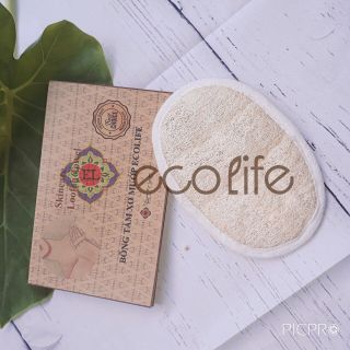 Bông tắm xơ mướp Oval Ecolife 2 mặt mướp, tẩy tế bào, làm sạch cơ thể