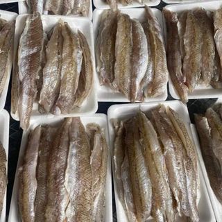 Cá mối phơi deo một nắng, khô ráo, phi lê hàng đẹp