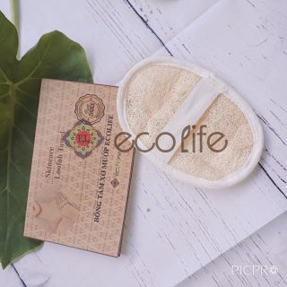 Bông tắm xơ mướp Oval Ecolife 2 mặt mướp, tẩy tế bào, làm sạch cơ thể