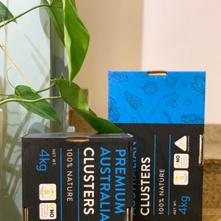 Nho khô Thompson Long VIP