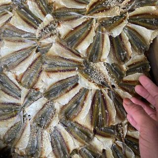 Cá chỉ vàng bông ớt, cá chỉ vàng bông tẩm vừng - tẩm gia vị ngọt nhẹ, đều con, size 1kg