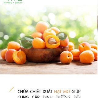 (SỈ HOT) KEM DƯỠNG DA TAY THE SAEM Cấp Ẩm Dưỡng Trắng HÀN QUỐC (ĐỘC QUYỀN) SỈ DEAL HỜI | NKB STORE