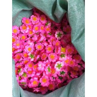 [CÓ KÈM KẼM] Hoa Mai Hoa Đào Giả Trang Trí Tết LVQ019